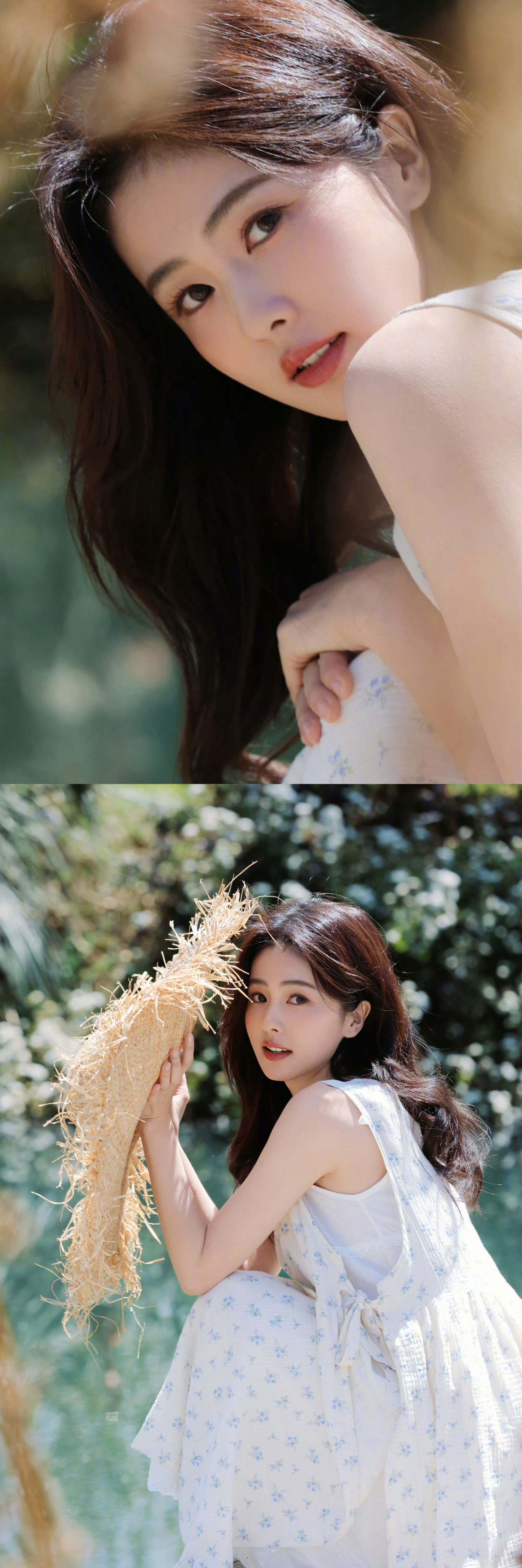 白鹿中秋营业🌙一脚踏进油菜花田里👒 #白鹿中秋美照# ​​​