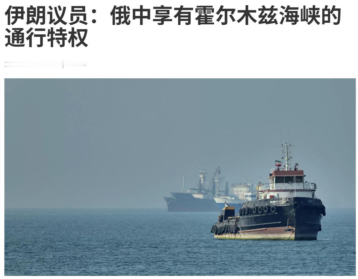 不得不说，伊朗还是够义气的！
5月30日，伊朗议会国家安全和外交政策委员会主席易