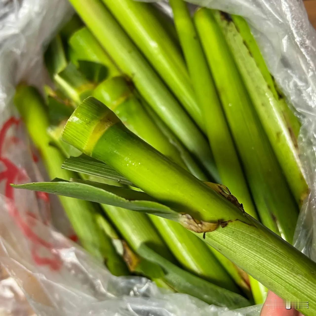 可能很多人都没见过这个，印象里似乎只有长江中下游一带有种。
虽然非常甜，跟甘蔗似