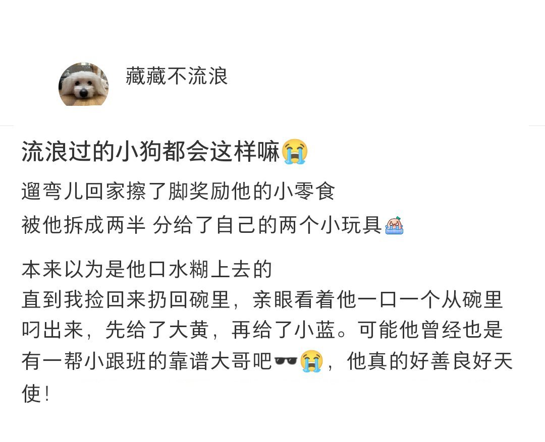 流浪过的小狗也许更懂得什么是仗义[悲伤] ​​​