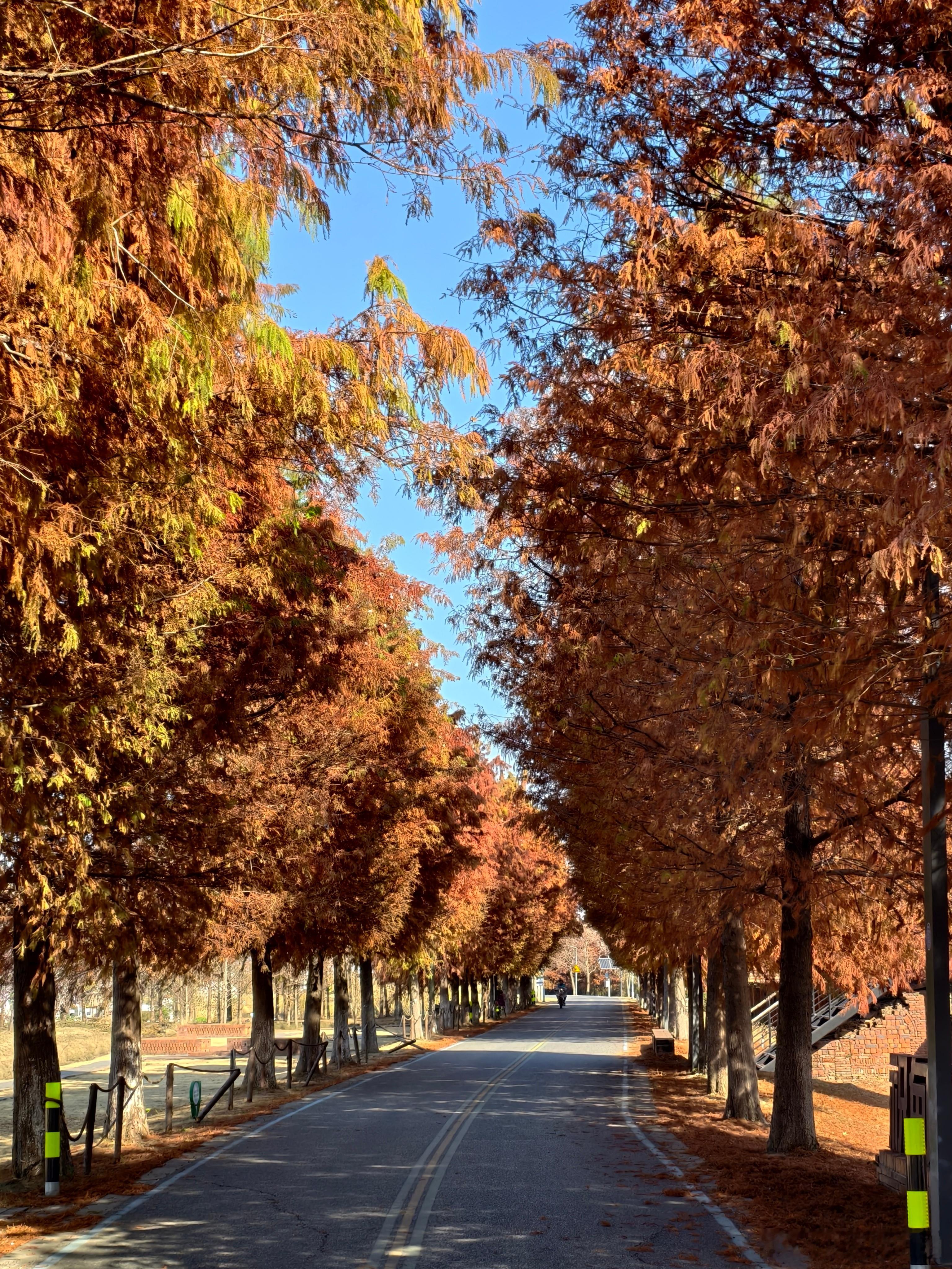 元旦请3休8已经决定休了，正好忙完疯狂车圈 10-11 月，休个大的。 