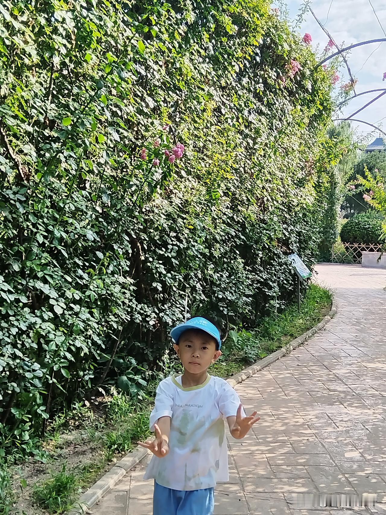 小家伙在绿墙前比划着遇到了白酒四斤酒量的朋友怎么办 到宝鸡，你想吃哪几种美食？