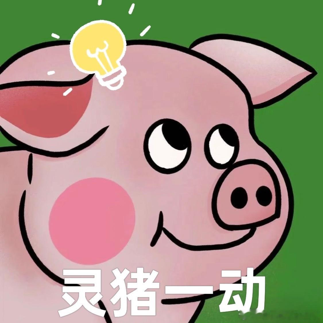 曝金鹰奖最佳女主角杨紫金鹰奖都已经安排好了？那还提前给我们说，真是善良[太开心]