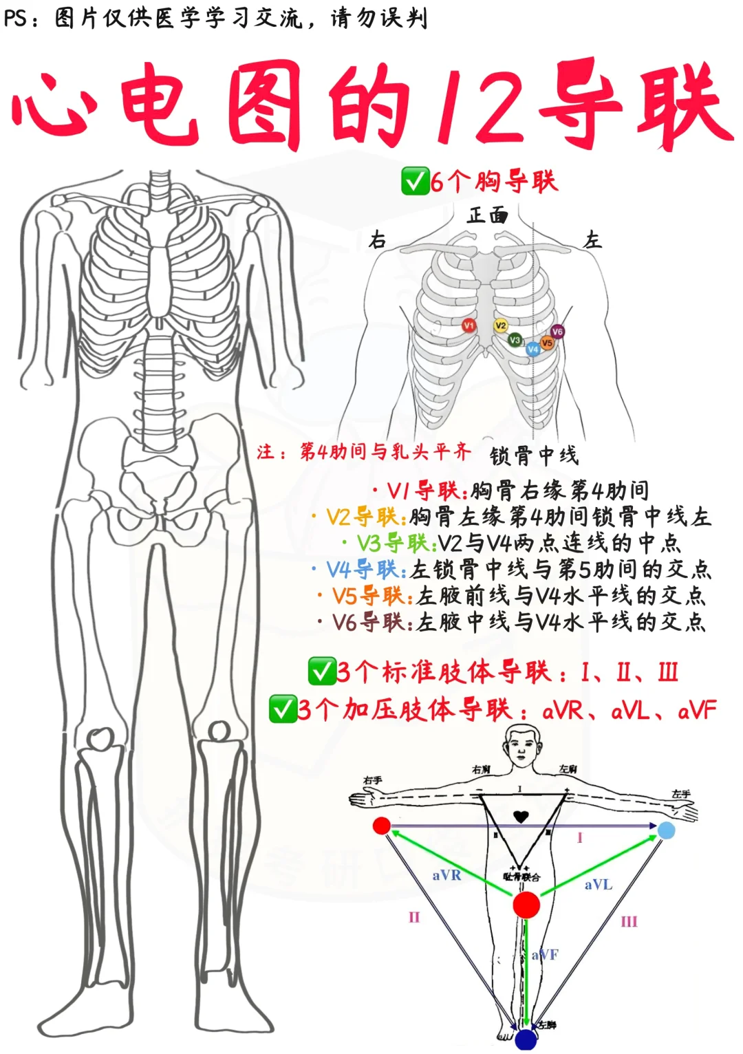 📒医学生笔记｜十二导联心电图✅干货收藏