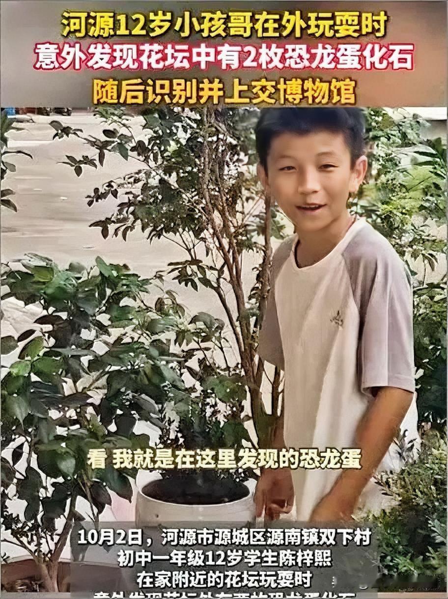 广东河源12岁小孩哥在家附近花坛玩，随手扒开浮土就摸出两枚圆滚滚的恐龙蛋化石，当