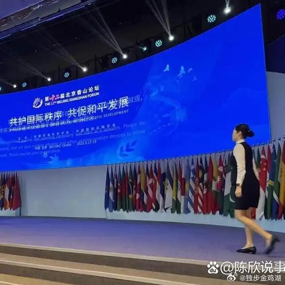 《中方正式发出邀请，通告各国赴北京共赴二十周年之约，日本方面也已确认出席此次纪念