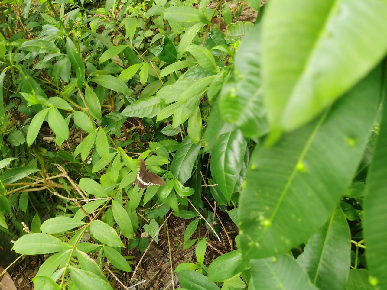 #上联：秋叶黄时思故人，诚邀下联#
下联：春花绽日忆旧友‌