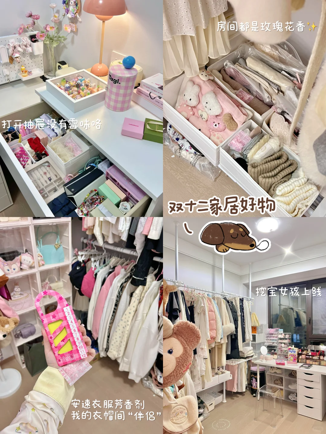 双十二家居好物🏠我的衣帽间伴侣分享✨