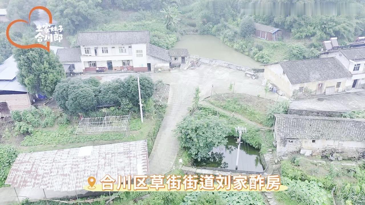 🐂10年养牛大户分享经验：从几头到百头的秘诀
林总从父亲那里接手家族农场，十年