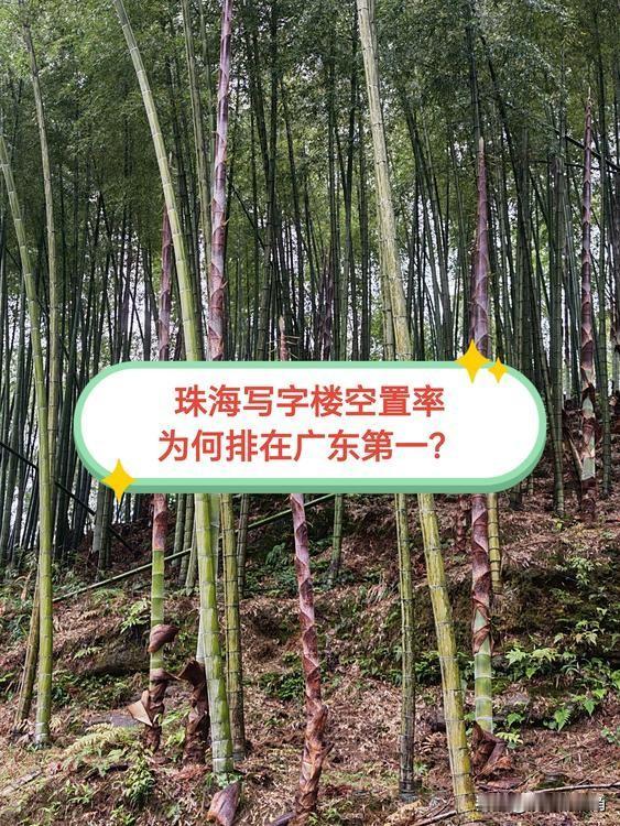 珠海是广东21市中写字楼空置率最高的城市，这事看似在情理之中，却又透着几分不合常
