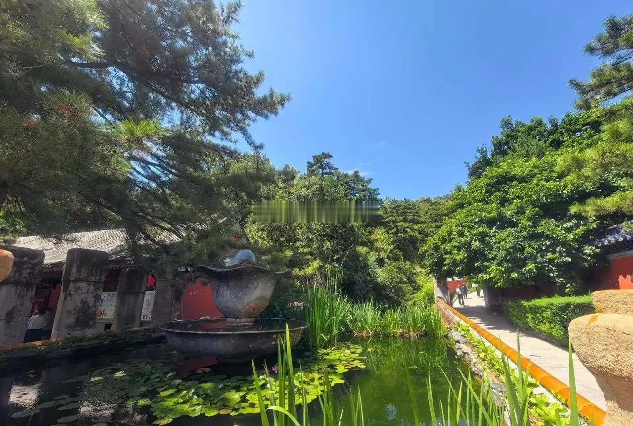 a股每年妖股都有一个规律，比如常山某明，深圳某强，那就是跟华为战略合作，跟华为有