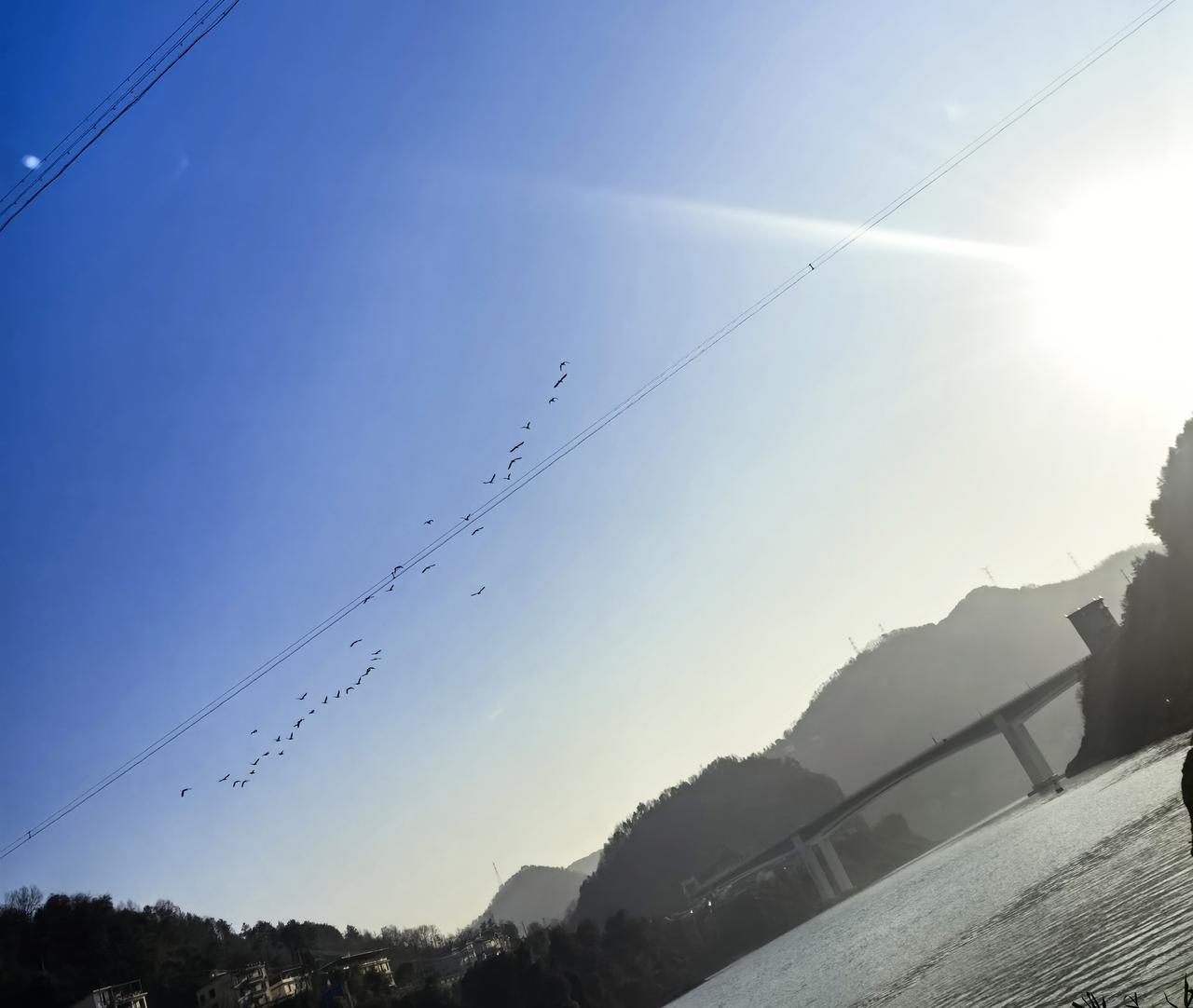 冬日生活打卡季暖阳高照，很想去野外晒太阳，无奈搬砖人的日常不允许，没事，等退休，