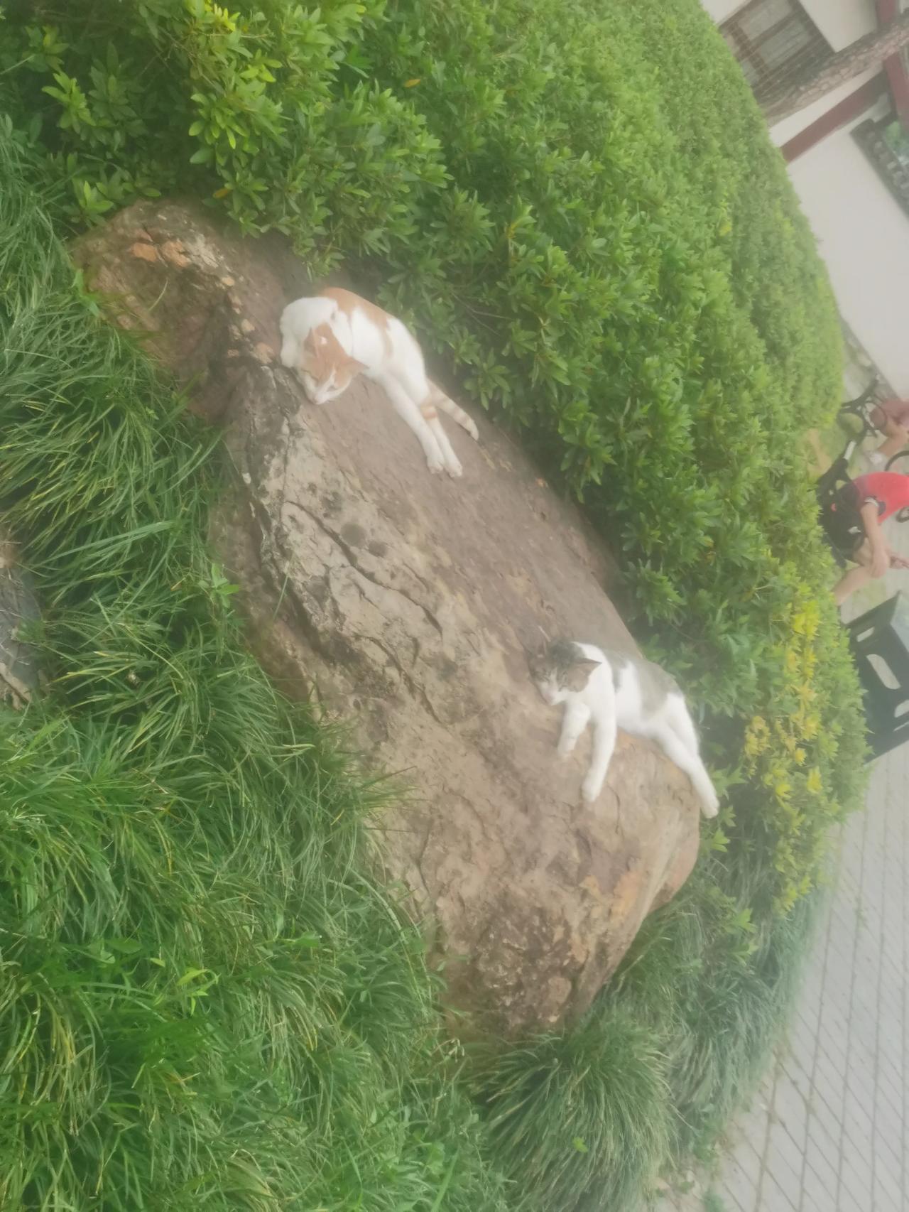 还是同样的节奏，同样的地点。下辈子………[捂脸]