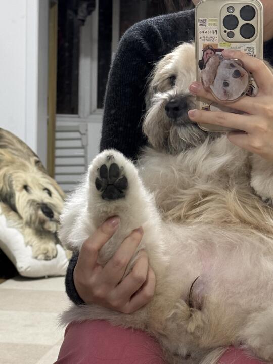 啊啊啊🐾🐾🐾 可爱的想咬一口