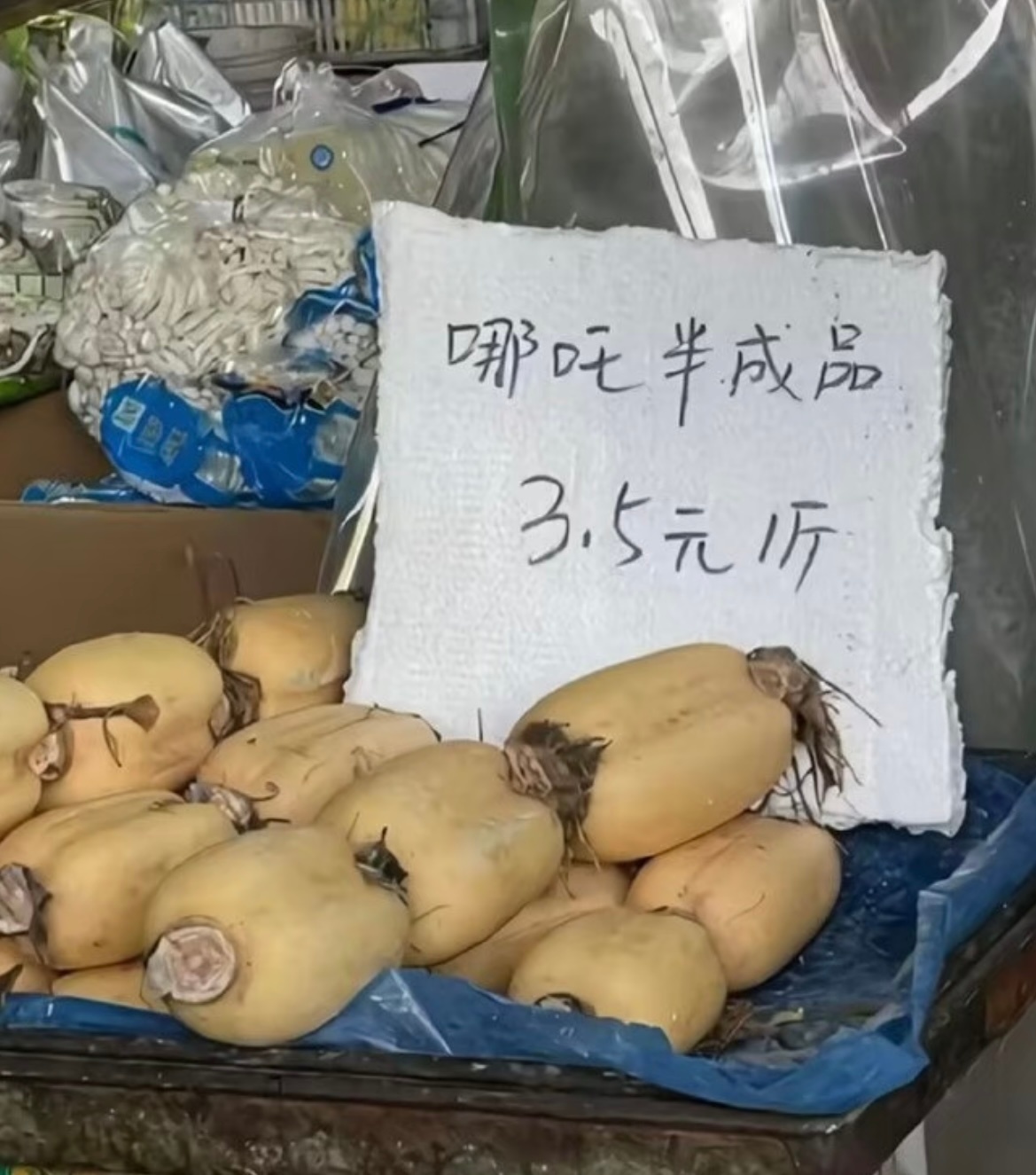 我本人向所有展示文化水平by bike：满满的心酸感我的幽默灵感片场搞笑幽默