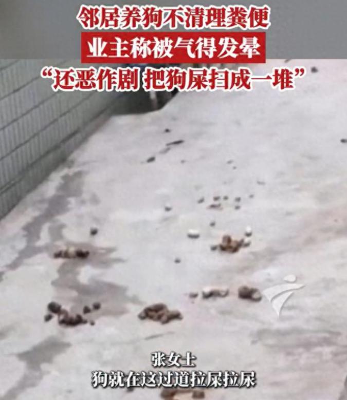 “欺负老实人！”广东韶关，一名女子反映，她的邻居经常把狗放在公共过道上散养，任由