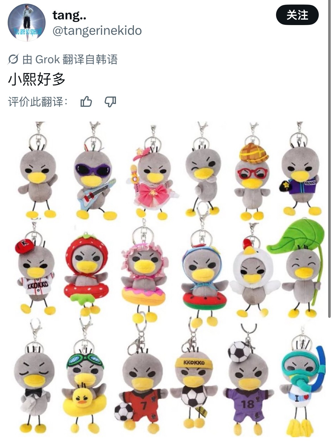好贱萌的鸭子 