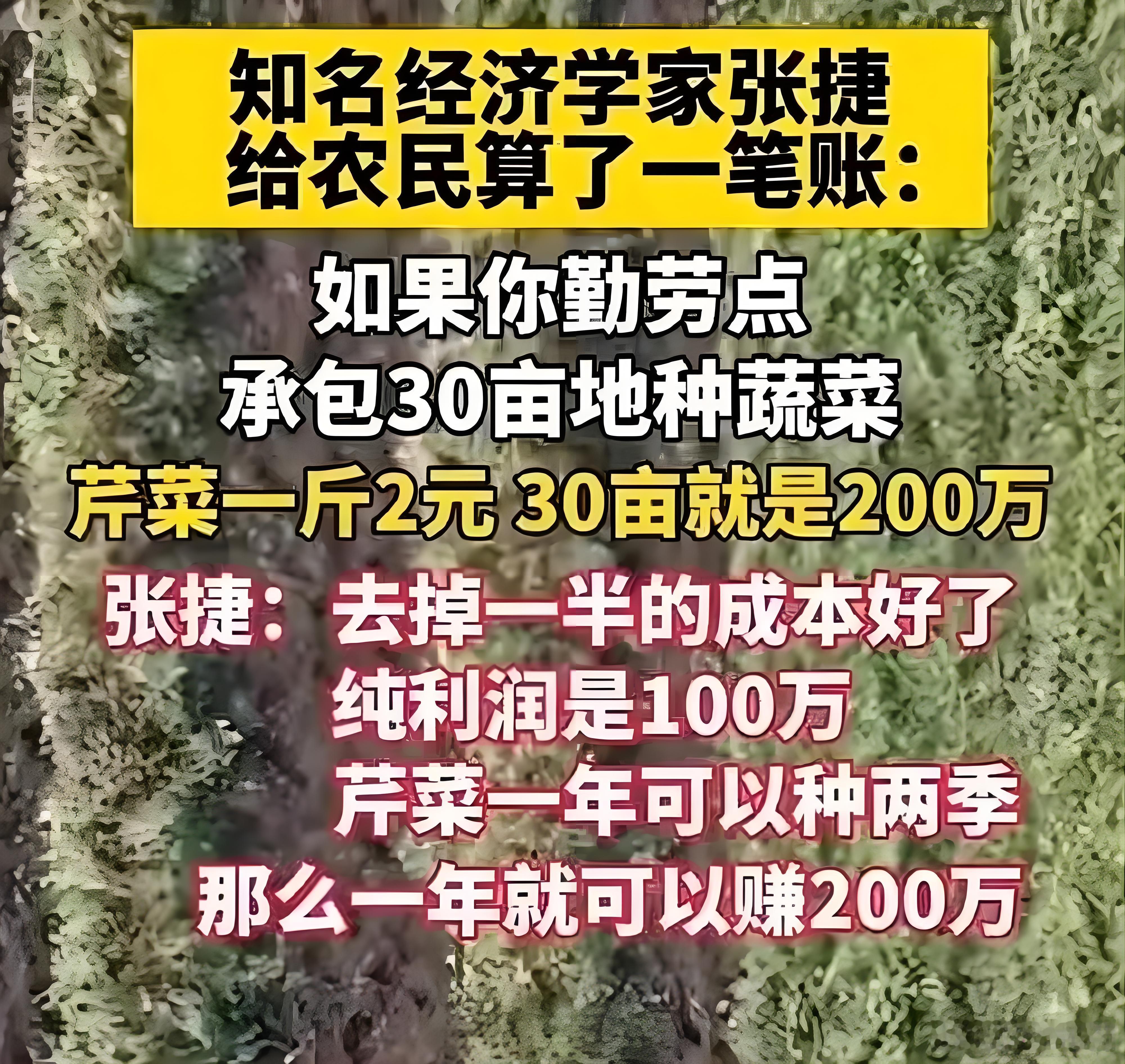 知名经济学家张捷及其亲戚、朋友、同学，竟然都放着一年稳赚200万的生意不做。这样