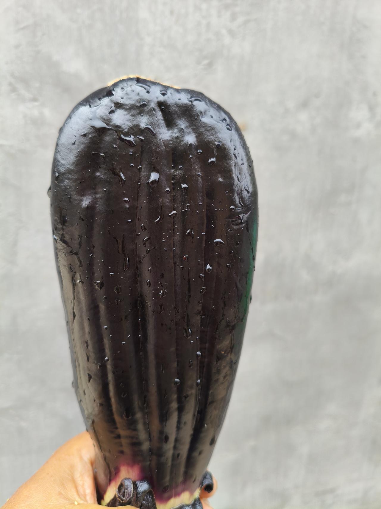 这是自己的小菜园里摘下来的茄子，形状奇特，略微呈扇子形状！