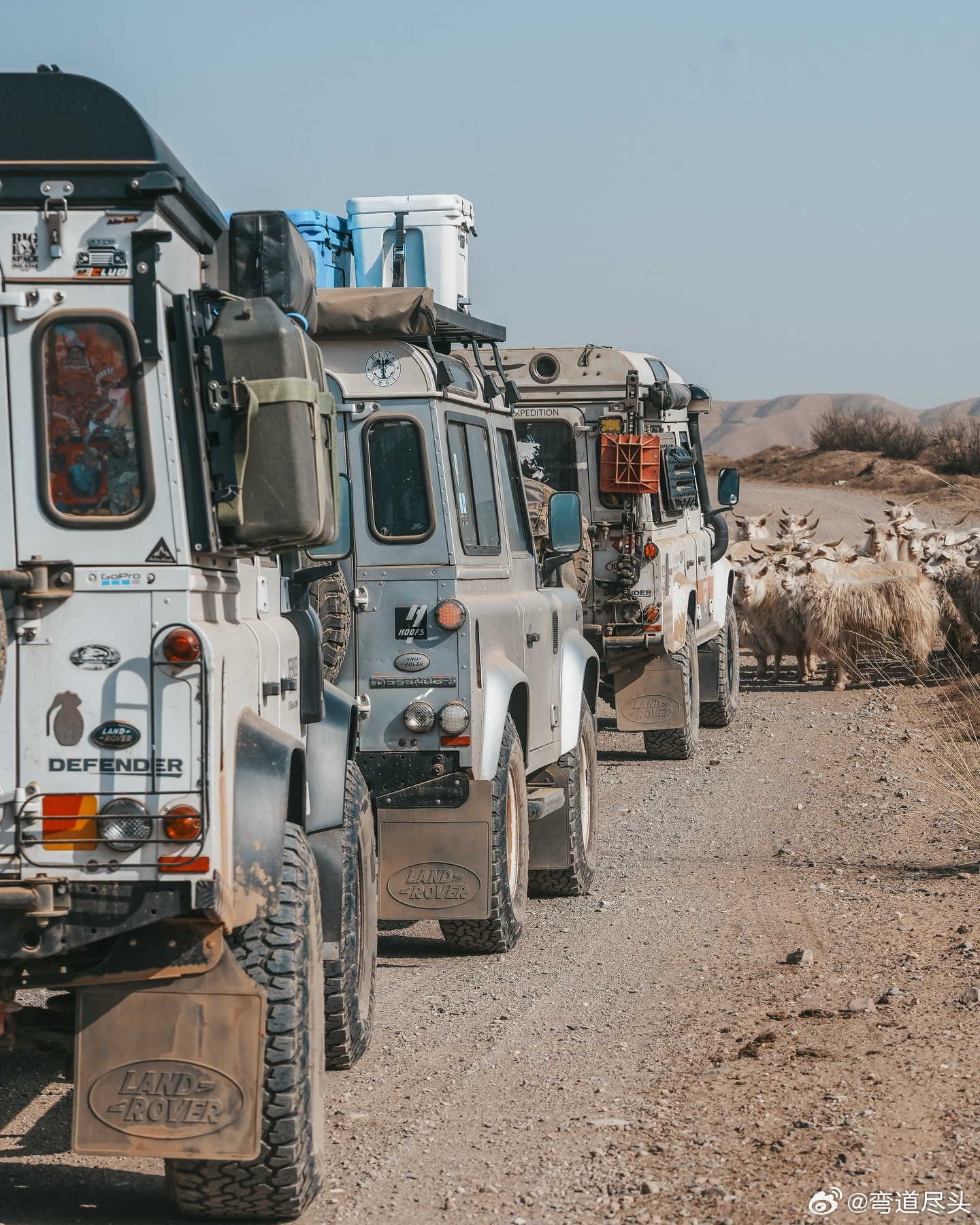 路虎卫士  信天翁在中国nextmeridian.expedition 在中國短