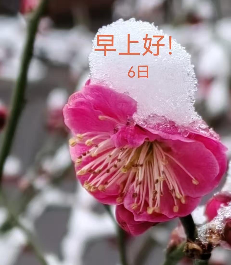 校园学习相对人生大考是最为简单的命题！

  亲戚的孩子初中时候学习名列前茅考上