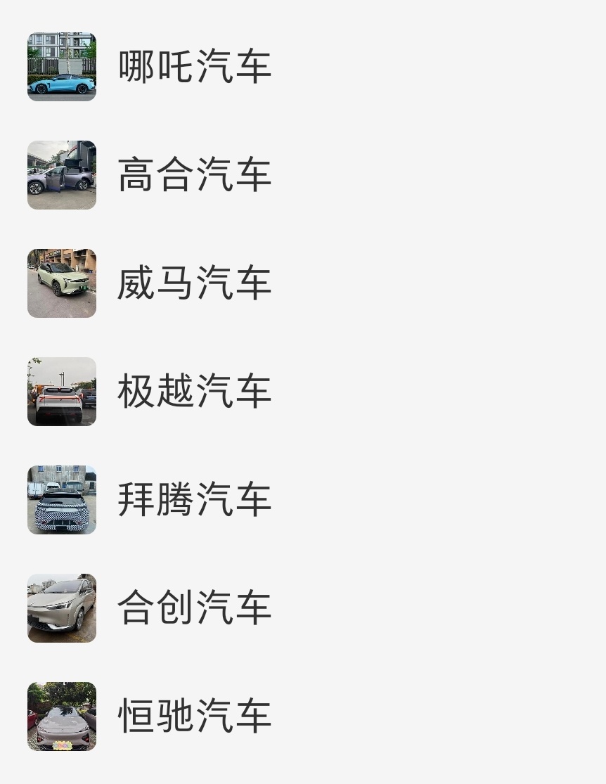 数十万爆雷车企车主售后困境买车一定要买大厂的，大厂的，大厂的！比如：比亚迪，吉利