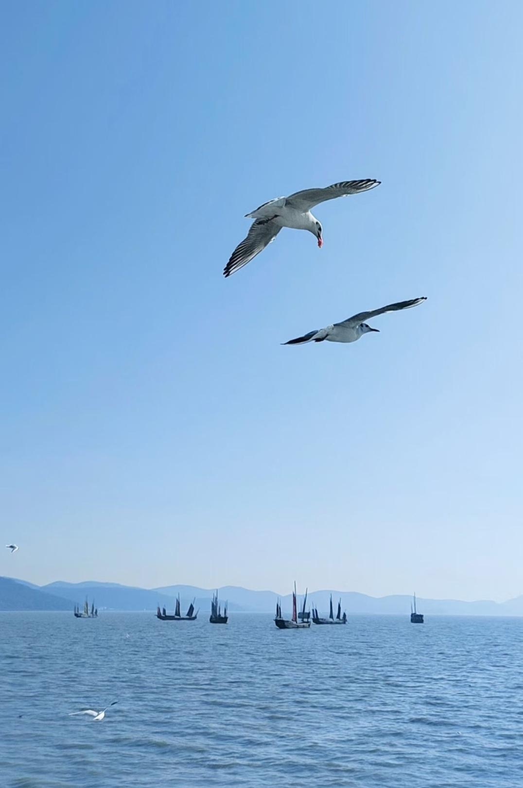 中日关系紧张对旅游行业影响有多大？
中日关系紧张对旅游行业影响可不小。截至12月