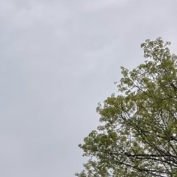 你说我打游戏菜有什么意义呢？我只会把你删了，又不会把游戏删了 