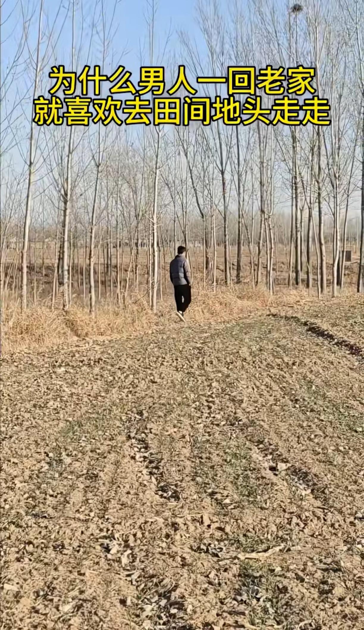 为什么男人一回老家，就喜欢去田间地头去看看呢？

无意中刷到了这个视频，才发现自