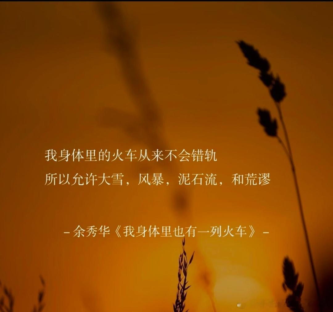小千的身体里，亦有一列火车。大雪，风暴，泥石流轮番着来......可现实愈模糊，