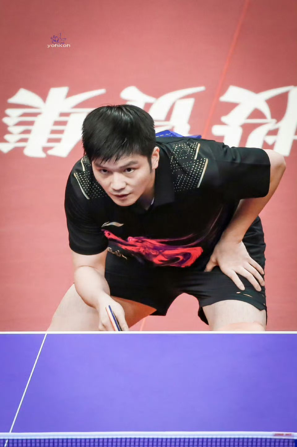 跨越山海，用球拍连接热爱。樊振东在德国的日子，不止是赛场的胜利，更是一场温暖的文