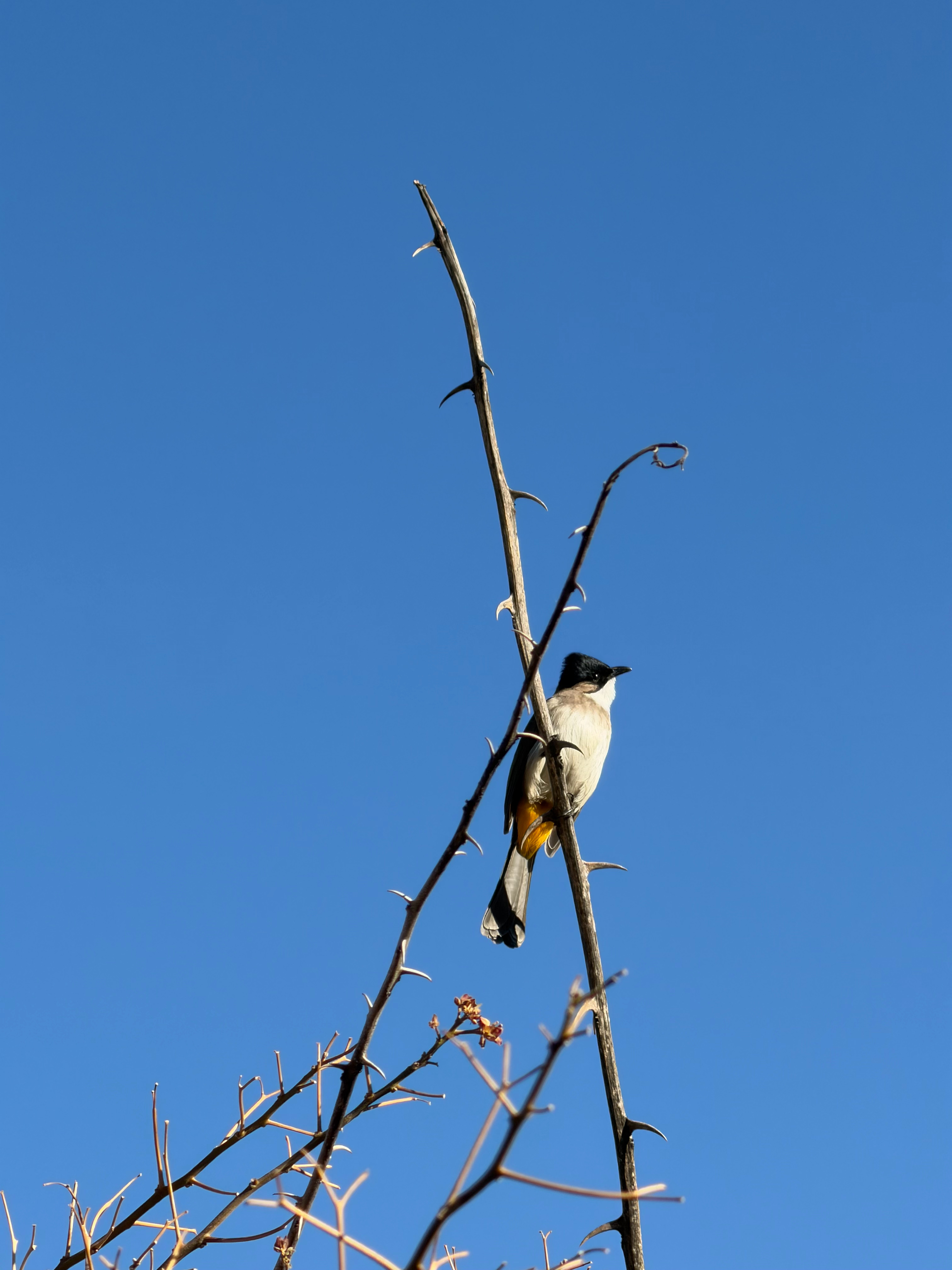 对于一个个体来说，如果你自己想让自己变得更好，想要有所成长和进步，只要你付出相应