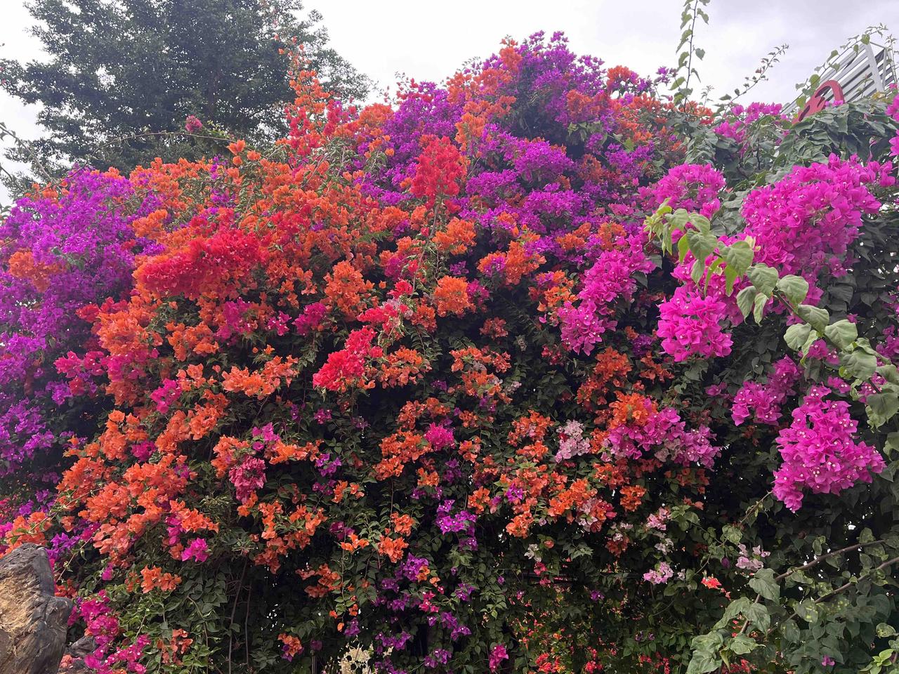 在婆家，什么的儿媳最舒服？

一等奖：拿儿媳当女儿，亲疏有度，彼此自在
二等奖：