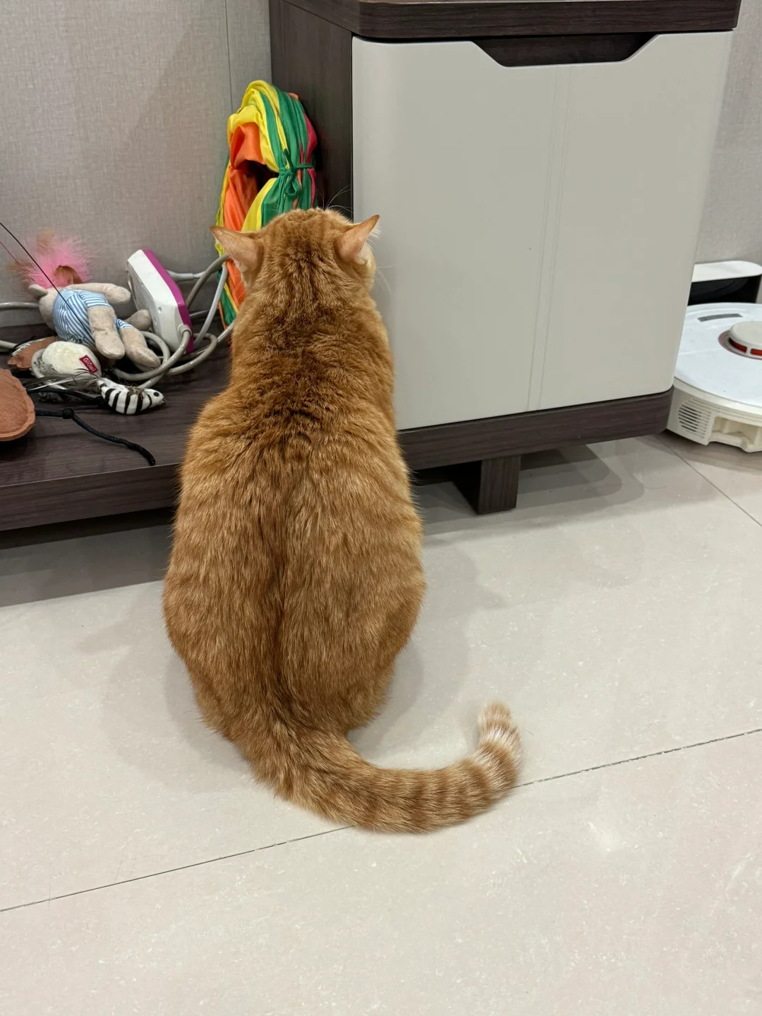 可以开一下零食柜吗