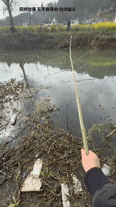 忘记了带钓鱼竿的我！[赞]