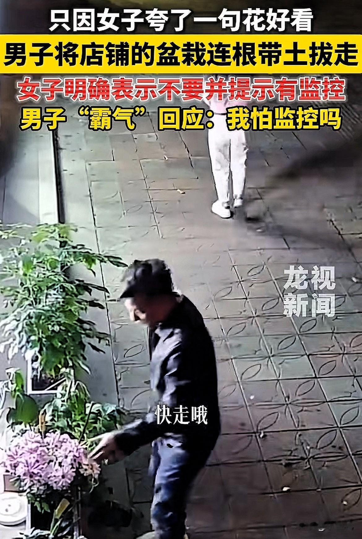 就这点出息吗？广东，一对男女路过一个店铺，女子看到店铺门口的花，说了句“这是什么