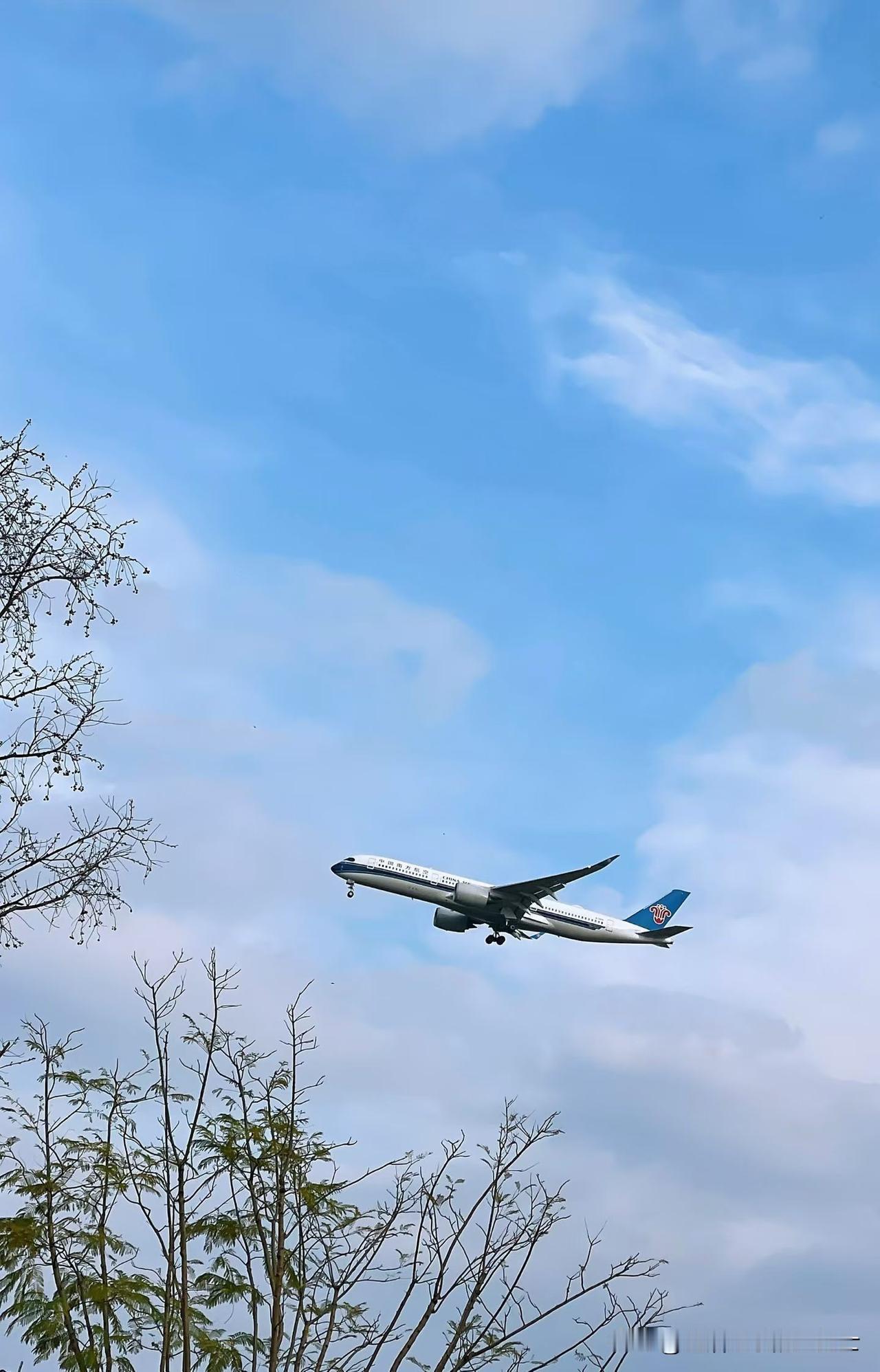 一位医生说：我自己是医生，天天给病人讲少盐少油，健康饮食，少点外卖。而我自己下班