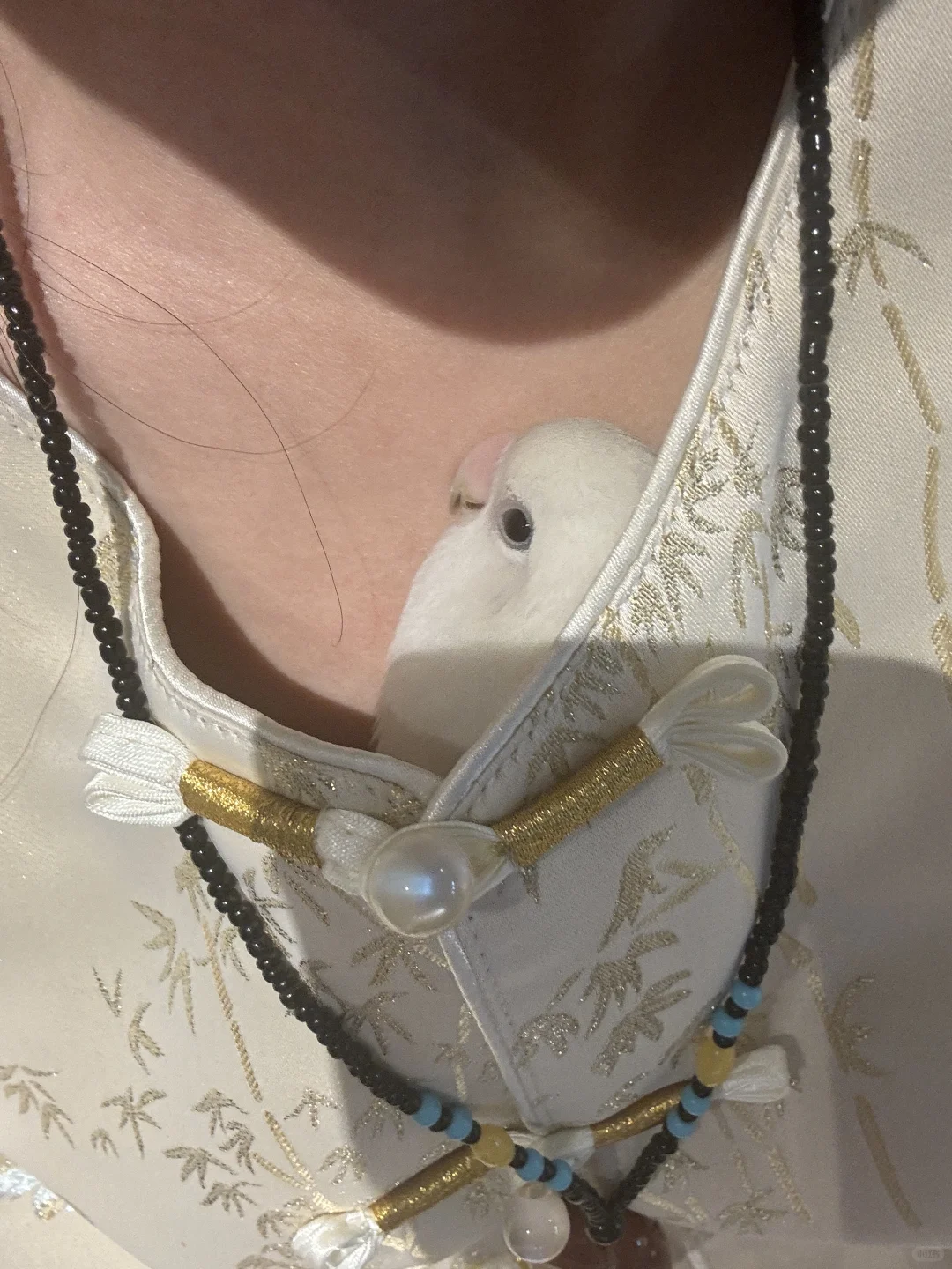 我是妈宝女