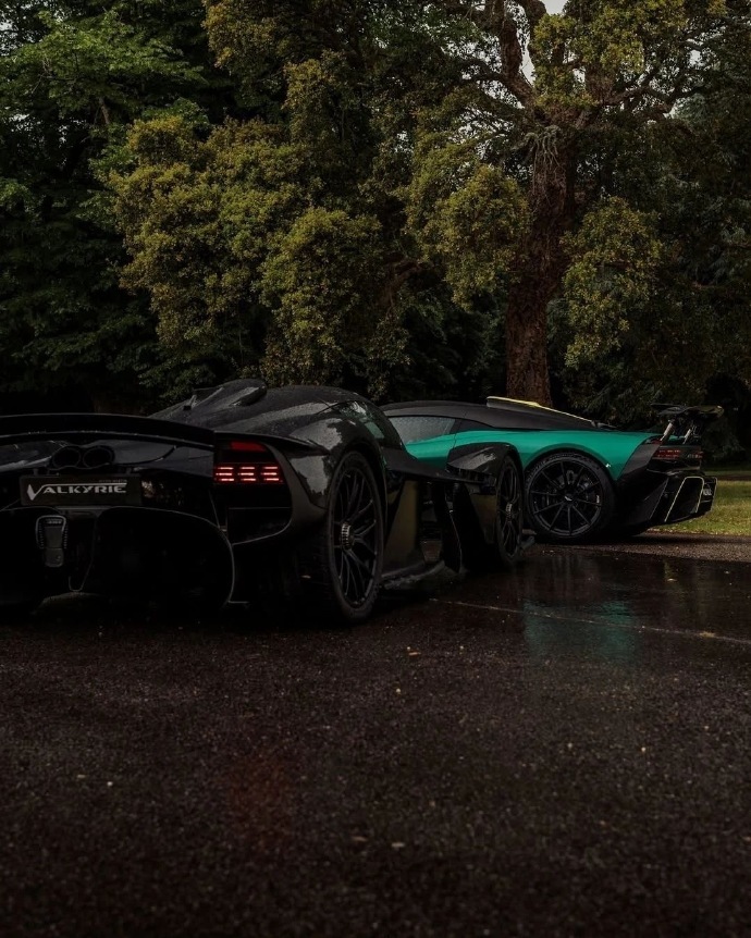 阿斯顿马丁的古德伍德阵容，Valhalla和Valkyrie。