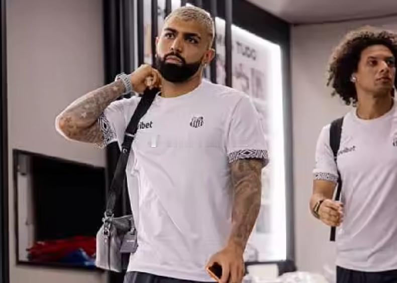 据《ESPN》报道称，加比戈尔因在桑托斯比赛中的不雅动作被巴西最高体育司法法院停