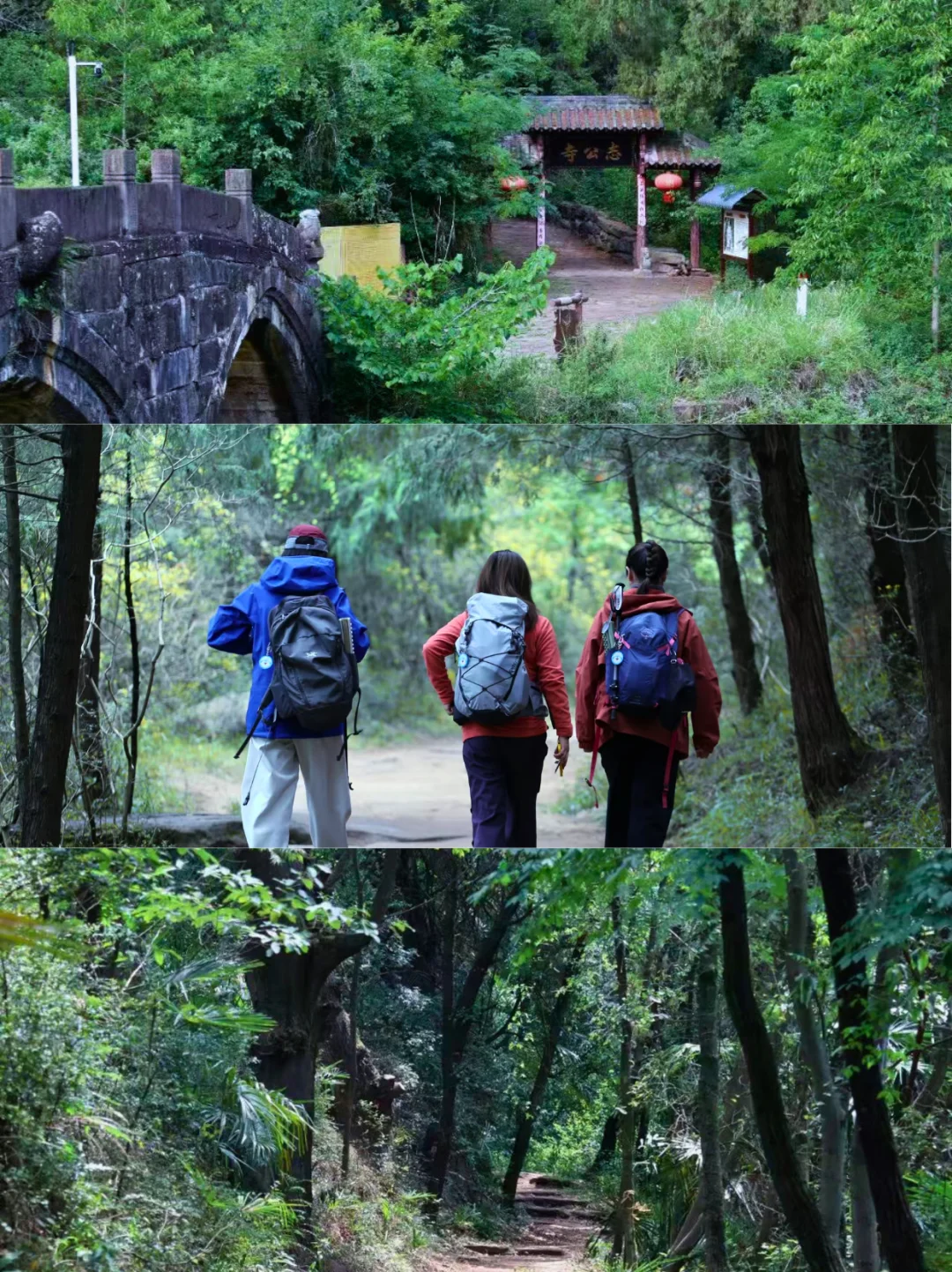 谁懂啊！不在国外，真的在四川！