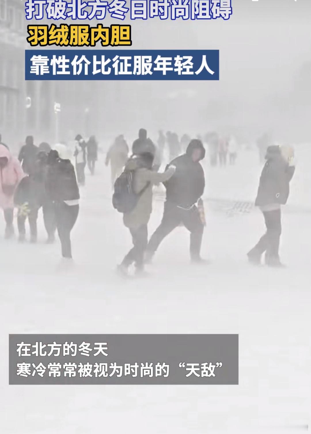 #羽绒服内胆靠性价比征服年轻人#现在的商家真的是把年轻人的心理拿捏的死死的[笑c