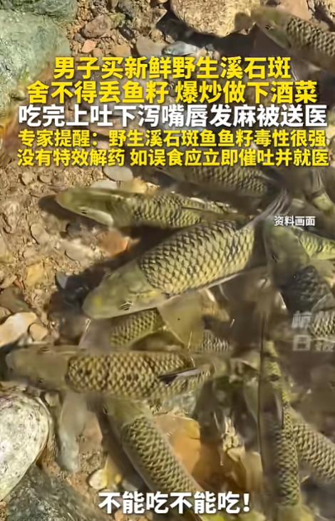 “悲剧还是发生了！”5月24日报道，浙江，一男子买了野生溪石斑，因为舍不得丢掉鱼