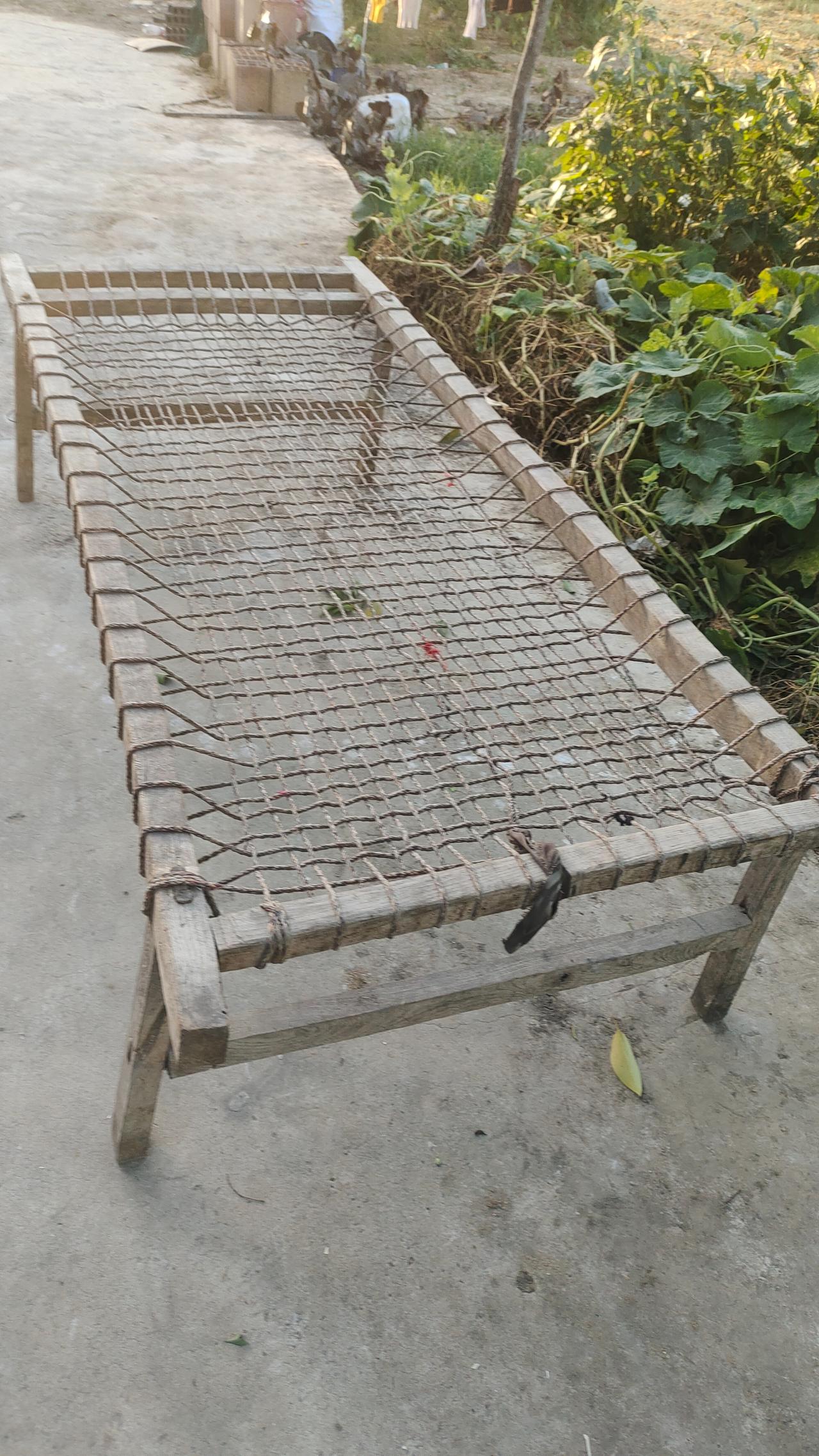 这个东西据说只有苏鲁豫皖交界地方才有，你们管它叫什么名字？