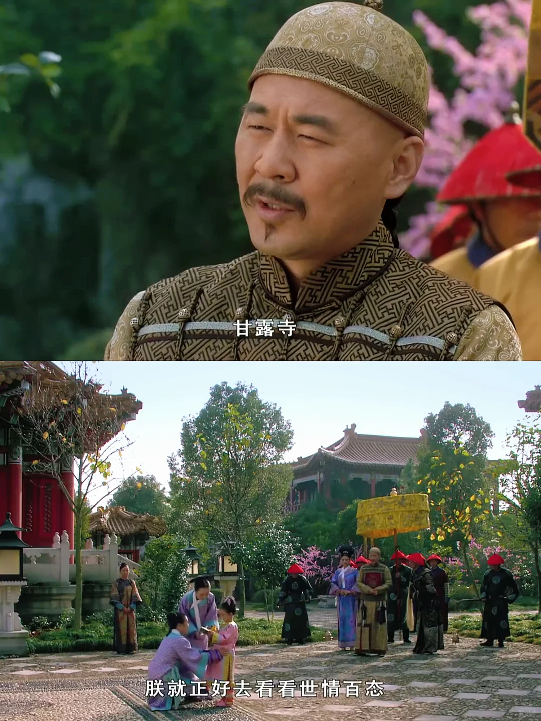 只有我觉得大橘很爱苏妃准备的这把梯子吗？