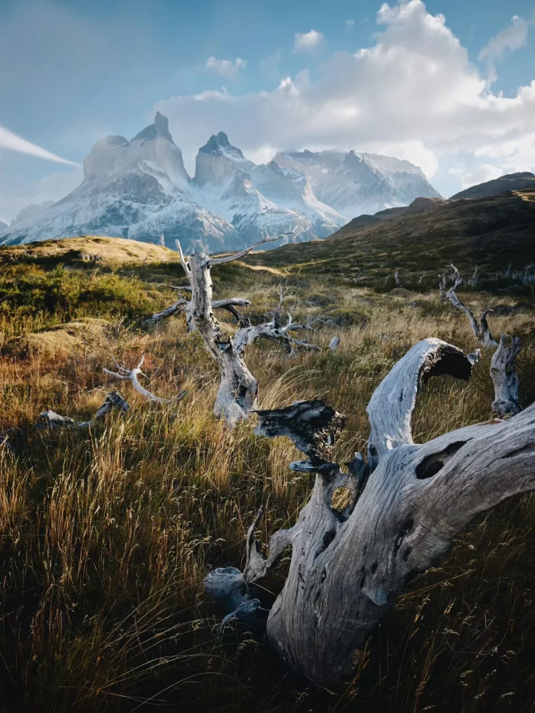 巴塔哥尼亚⛰️世界上唯一没有时间的地方