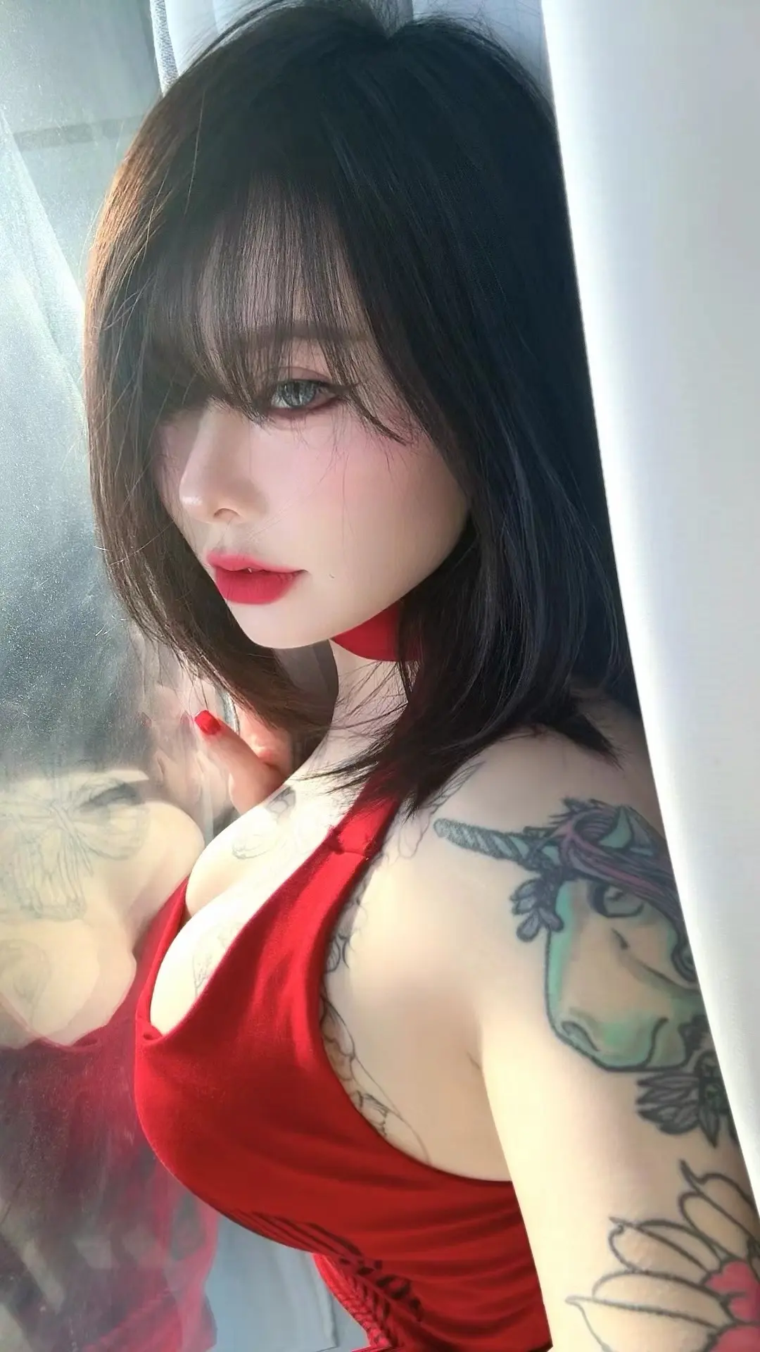 可惜长青树并不长情