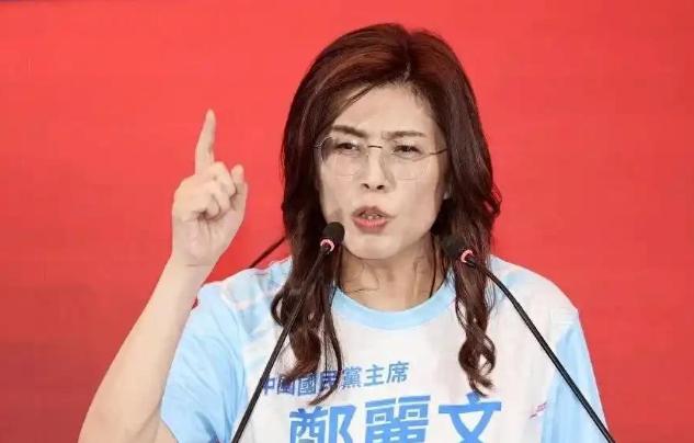 郑丽文现在估计肠子都悔青了，她后悔的不是给日本灾区捐了款，也不是以个人名义捐了款