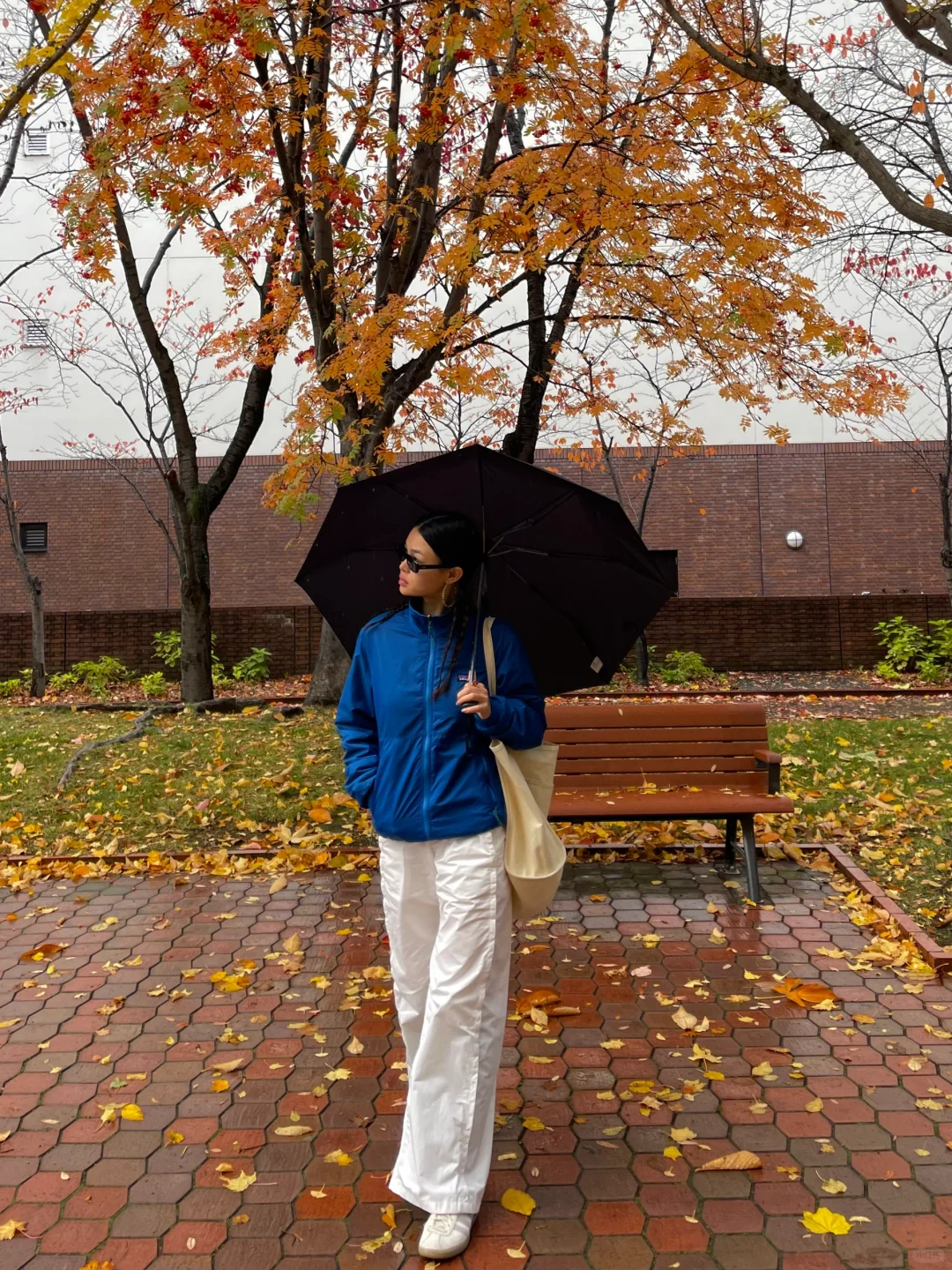 迷失在北海道的秋天里🍂