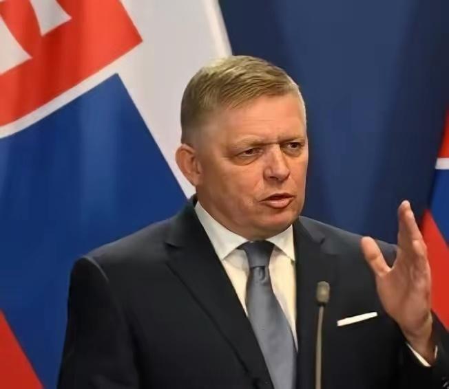 菲佐：俄罗斯将作为绝对赢家从乌克兰冲突中胜出斯洛伐克总理罗伯特·菲佐表示，现在已